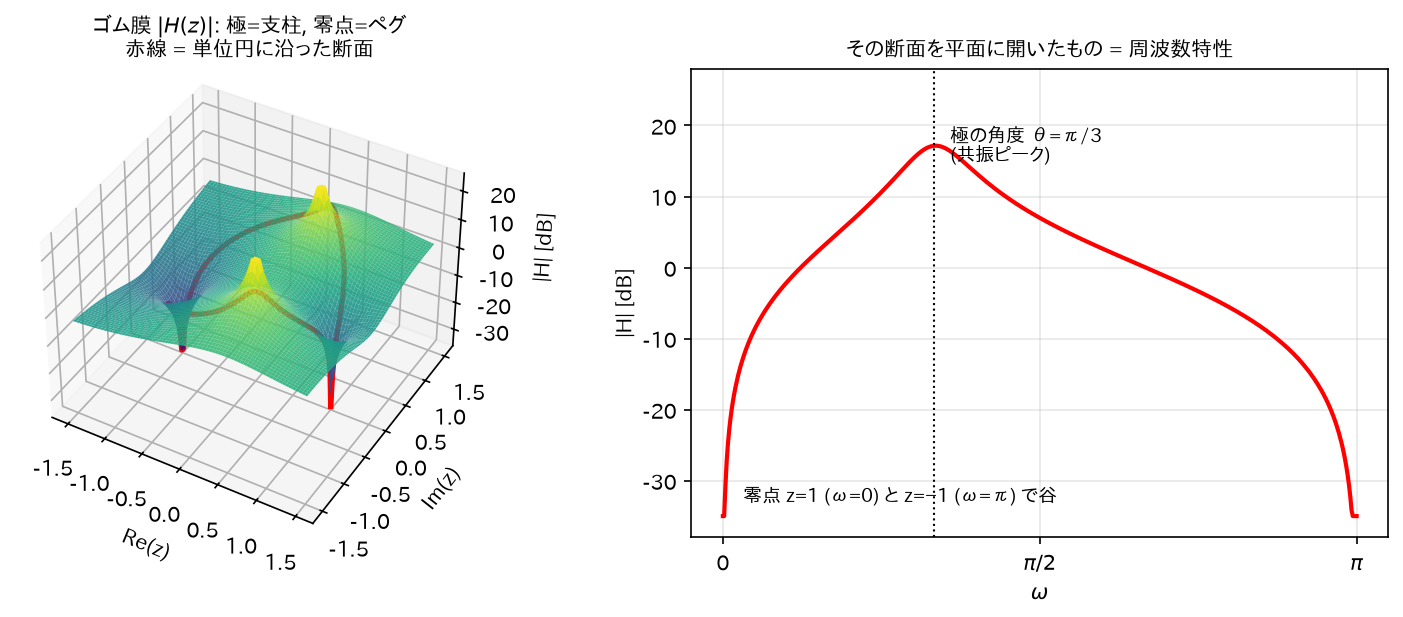 ゴム膜の 3D 図と周波数特性